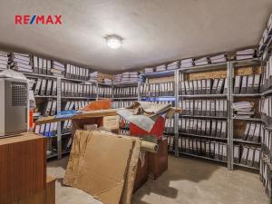 Pronájem rodinného domu, Nový Malín, 205 m2