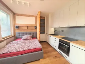 Prodej bytu 1+kk, Praha - Vinohrady, Perucká, 28 m2