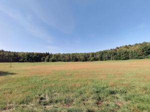 Prodej louky, Bílá, 2608 m2