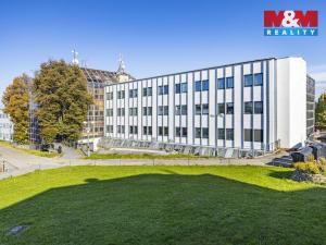 Prodej bytu 1+kk, Opočno, Pohořská, 40 m2