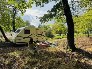 Prodej lesa, Postupice, 893 m2