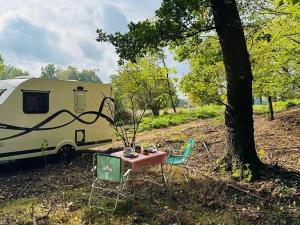 Prodej lesa, Postupice, 893 m2