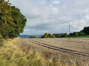 Prodej lesa, Postupice, 893 m2