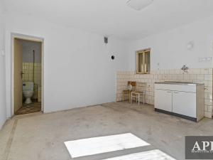 Prodej chalupy, Lopeník, 181 m2