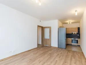 Pronájem bytu 2+kk, Praha - Hodkovičky, Šífařská, 45 m2