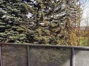 Prodej bytu 1+kk, Vrbno pod Pradědem, Žižkova, 42 m2