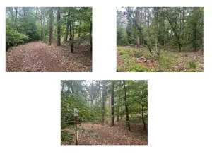 Prodej pozemku, Holice, 5782 m2