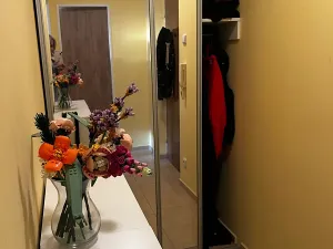 Pronájem bytu 1+1, Zlín, 35 m2