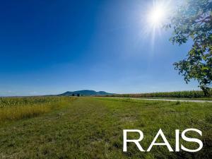 Prodej komerčního pozemku, Pouzdřany, 72617 m2