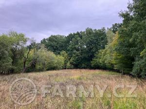 Prodej podílu pole, Dolní Roveň, 62359 m2