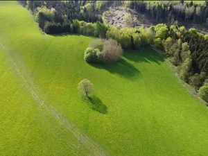 Dražba louky, Hanušovice, 53256 m2
