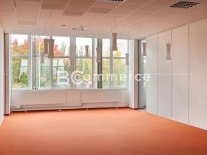 Pronájem kanceláře, Brno, Purkyňova, 700 m2