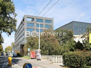 Pronájem kanceláře, Brno, 500 m2