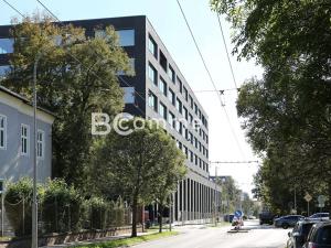 Pronájem kanceláře, Brno, 500 m2