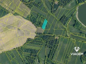 Prodej podílu lesa, Chanovice, 1232 m2