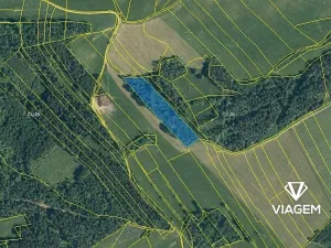 Prodej podílu lesa, Dolany, 3080 m2
