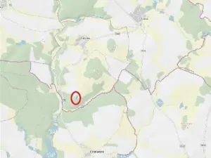 Prodej lesa, Častrov, 886 m2