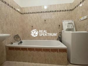 Pronájem bytu 1+1, Letovice, J. Haška, 32 m2