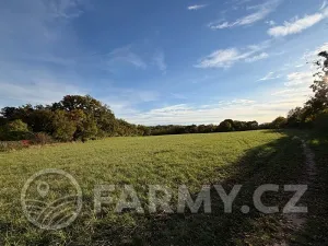 Prodej pole, Roztoky, 40596 m2