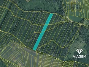 Prodej podílu lesa, Prštice, 1259 m2