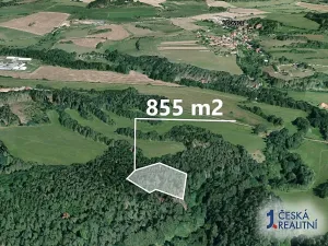 Prodej podílu lesa, Bošice, 1711 m2