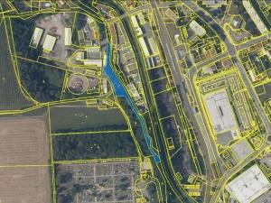 Prodej lesa, Rychnov nad Kněžnou, 3801 m2