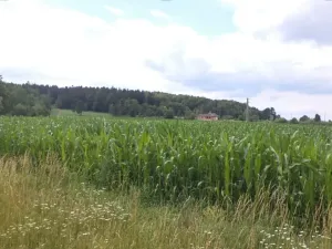 Dražba pole, Roudné, 8259 m2