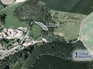 Prodej lesa, Hlohovice, 1712 m2
