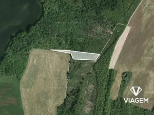 Prodej podílu lesa, Rybníky, 2697 m2