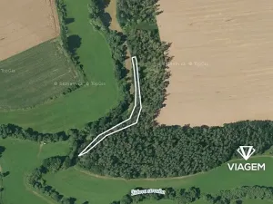 Prodej podílu lesa, Čenkov u Bechyně, 721 m2