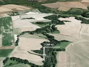 Prodej lesa, Kaceřov, 1208 m2