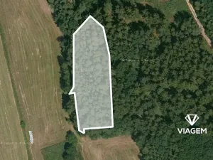 Prodej podílu lesa, Koloveč, 707 m2