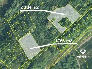 Prodej podílu lesa, Doubrava, 2975 m2