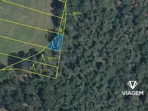 Prodej lesa, Čučice, 470 m2