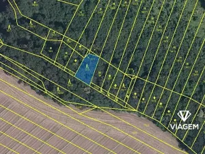 Prodej lesa, Čučice, 470 m2