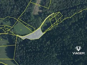 Prodej podílu lesa, Halenkov, 363 m2