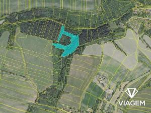 Prodej podílu lesa, Chlum, 2803 m2