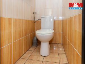 Prodej rodinného domu, Choltice - Ledec, 180 m2