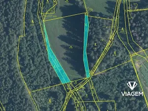 Prodej lesa, Červená Řečice, 1252 m2