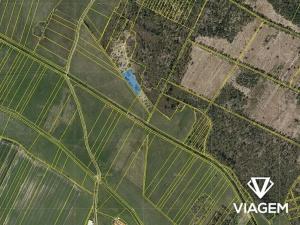 Prodej lesa, Borkovice, 3561 m2