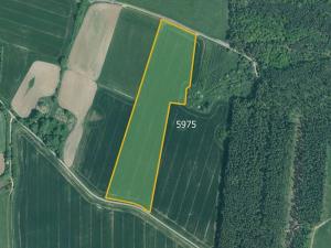 Prodej pole, Slabčice, 77267 m2