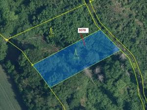 Dražba lesa, Benešov u Semil, 1110 m2