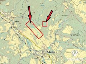 Prodej podílu lesa, Zubrnice, 2835 m2