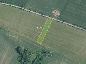 Prodej pole, Přibyslavice, 26367 m2