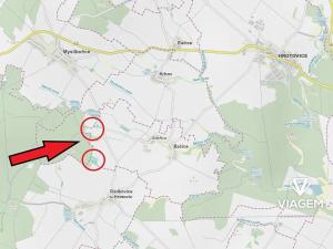 Prodej lesa, Bačice, 8463 m2