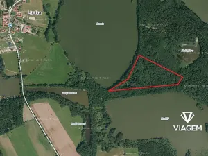 Prodej podílu lesa, Olešnice, 1518 m2