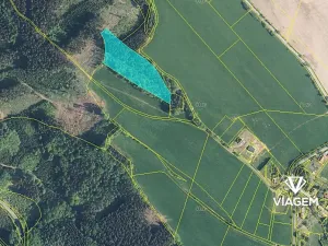 Prodej podílu lesa, Syřenov, 4521 m2