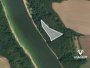 Prodej lesa, Slabčice, 6018 m2