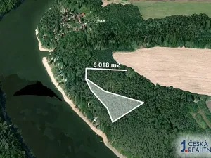 Prodej lesa, Slabčice, 6018 m2