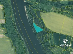 Prodej lesa, Slabčice, 6018 m2